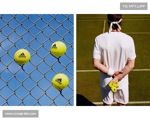 足球、篮球、网球：不同运动项目中的AI执裁技术应用现状